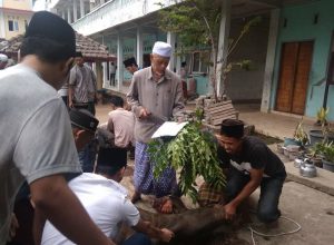 Hari Raya Idul Adha sebentar lagi !